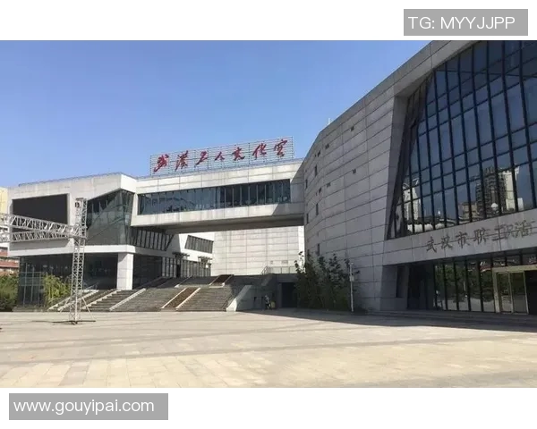 武汉排球队勇闯洲际杯的辉煌历程与突破之路揭秘