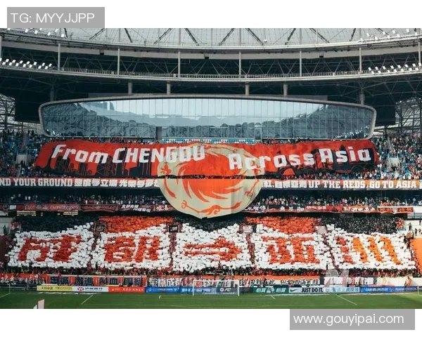 贵阳足球明星赛盛大开球吸引众多球迷共同见证精彩对决 贵阳足球明星赛盛大开球吸引众多球迷共同见证精彩对决