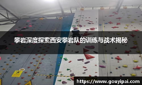 365WM完美