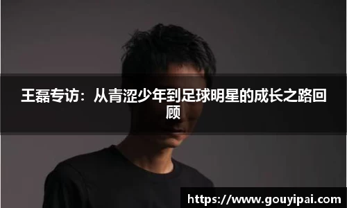 365WM完美