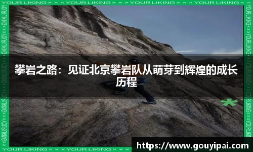 完美体育官方网站