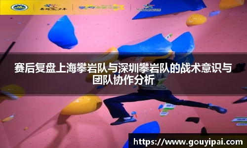 365WM完美
