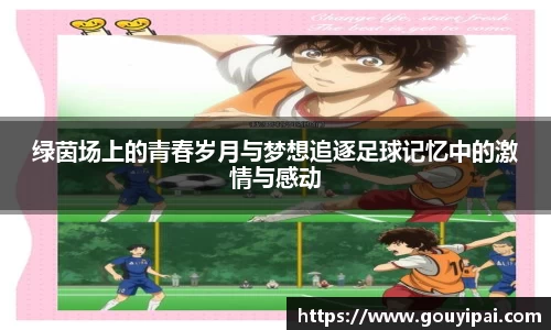 绿茵场上的青春岁月与梦想追逐足球记忆中的激情与感动