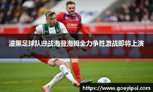 波黑足球队迎战海登海姆全力争胜激战即将上演